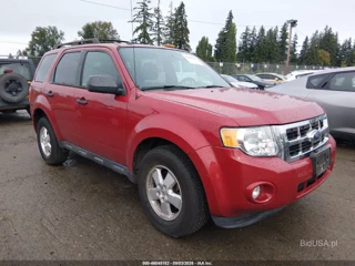 FORD FORD ESCAPE XLT