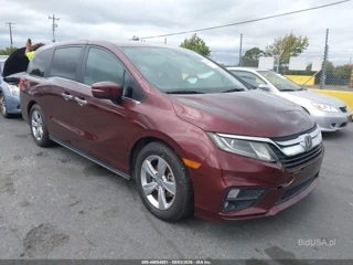 HONDA HONDA ODYSSEY EX