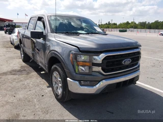 FORD FORD F-150 XLT