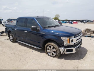 FORD FORD F-150 XLT