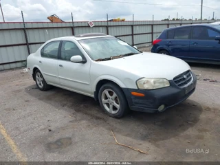 NISSAN NISSAN MAXIMA GLE