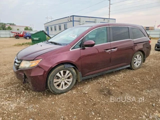 HONDA ODYSSEY EXL