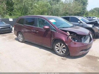 HONDA HONDA ODYSSEY EX-L
