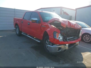 FORD FORD F-150 XLT