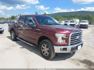 FORD FORD F-150 XLT
