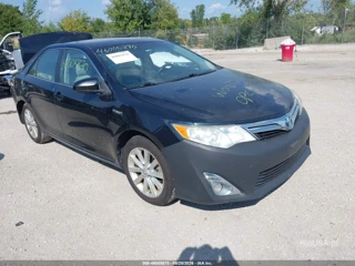 TOYOTA TOYOTA CAMRY HYBRID XLE