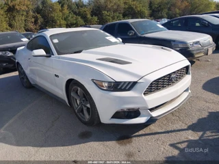 FORD FORD MUSTANG GT