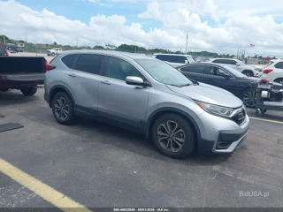 HONDA HONDA CR-V 2WD EX