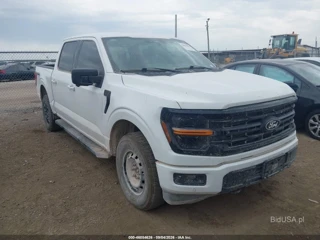 FORD FORD F-150 XLT