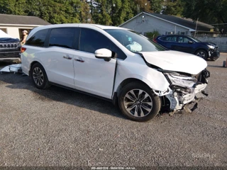 HONDA HONDA ODYSSEY EX-L