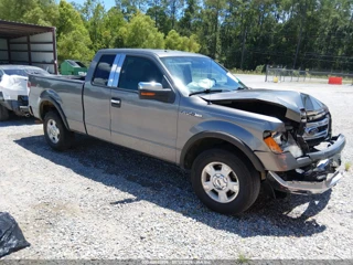 FORD FORD F-150 XLT