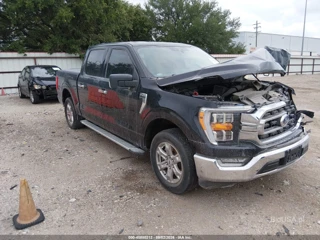 FORD FORD F-150 XLT