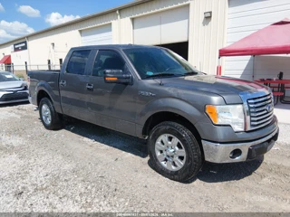 FORD FORD F-150 XLT