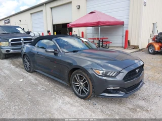 FORD FORD MUSTANG ECOBOOST PREMIUM