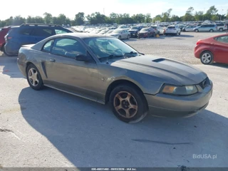 FORD FORD MUSTANG