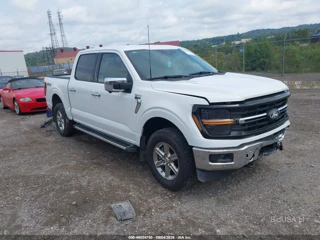 FORD FORD F-150 XLT
