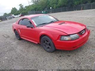 FORD FORD MUSTANG