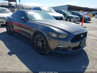 FORD FORD MUSTANG ECOBOOST