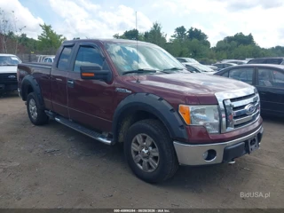 FORD FORD F-150 FX4/LARIAT/XL/XLT