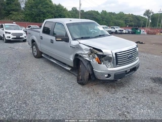 FORD FORD F-150 XLT