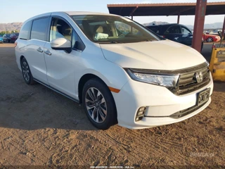 HONDA HONDA ODYSSEY EX-L