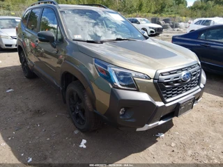 SUBARU SUBARU FORESTER WILDERNESS