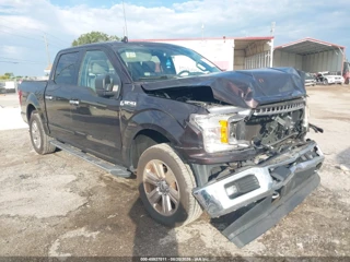 FORD FORD F-150 XLT