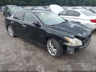 NISSAN NISSAN MAXIMA 3.5 SV