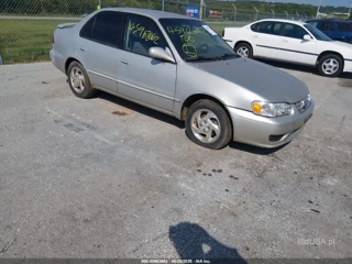 TOYOTA TOYOTA COROLLA LE
