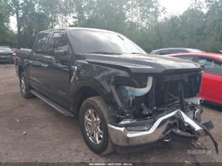 FORD FORD F-150 XLT