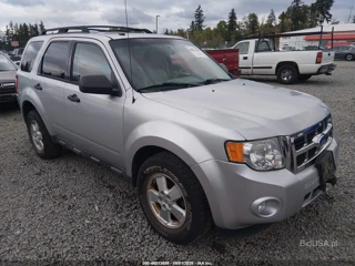 FORD FORD ESCAPE XLT