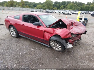 FORD FORD MUSTANG V6 PREMIUM