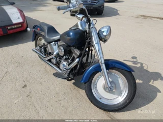 HARLEY-DAVIDSON HARLEY-DAVIDSON FLSTF