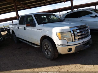 FORD FORD F-150 XLT