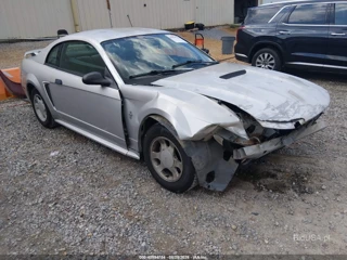 FORD FORD MUSTANG
