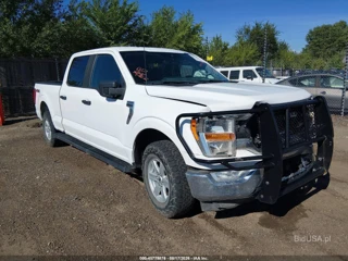 FORD FORD F-150 XLT