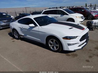 FORD FORD MUSTANG ECOBOOST FASTBACK