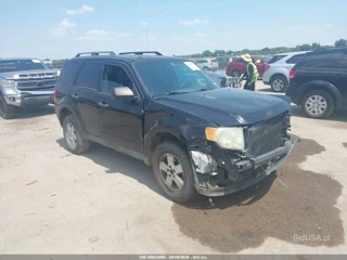 FORD FORD ESCAPE XLT