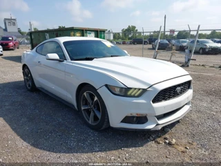 FORD FORD MUSTANG V6