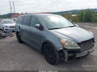 HONDA HONDA ODYSSEY EX-L