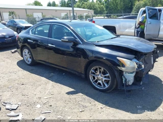 NISSAN NISSAN MAXIMA 3.5 SV