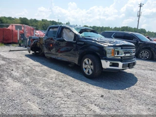 FORD FORD F-150 XLT