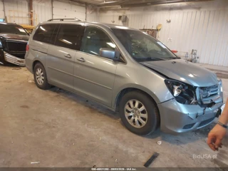 HONDA HONDA ODYSSEY EX-L