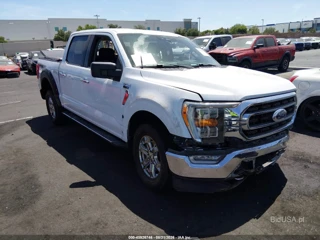 FORD FORD F-150 XLT