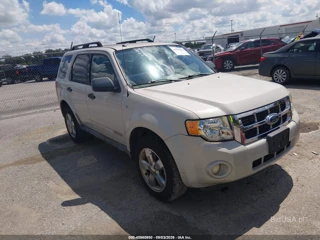 FORD FORD ESCAPE XLT