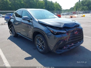 LEXUS LEXUS NX 350