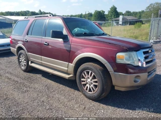 FORD FORD EXPEDITION XLT