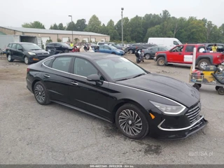 HYUNDAI HYUNDAI SONATA HYBRID LIMITED