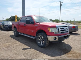 FORD FORD F-150 XLT