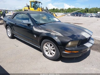 FORD FORD MUSTANG V6/V6 PREMIUM
